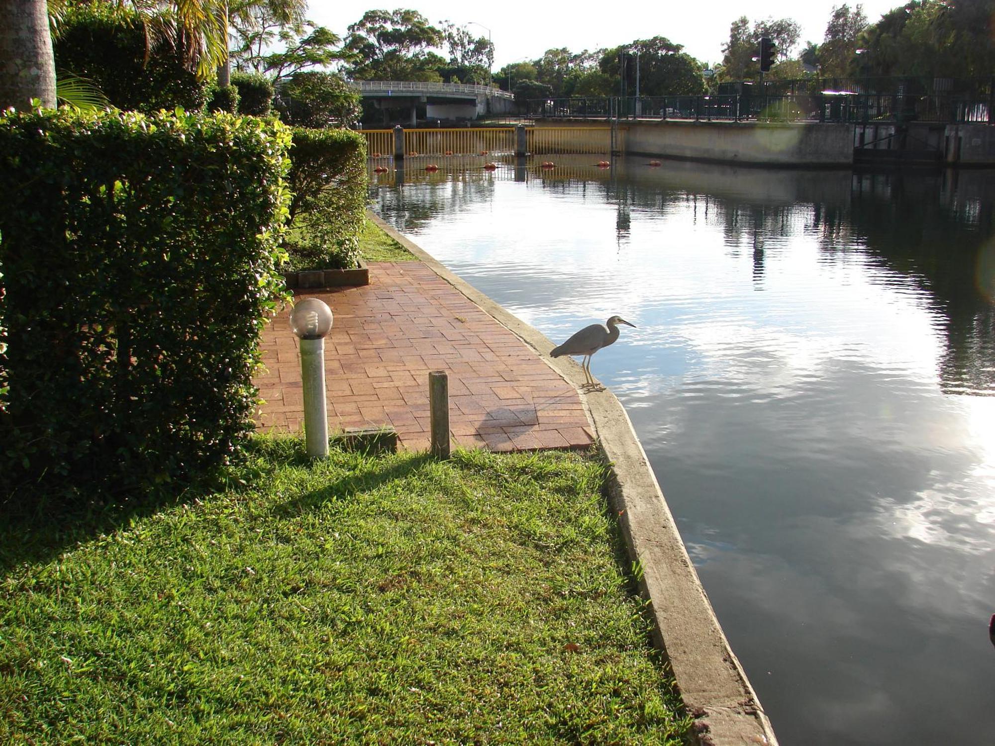 Portside Noosa Waters Hotel Noosaville Buitenkant foto